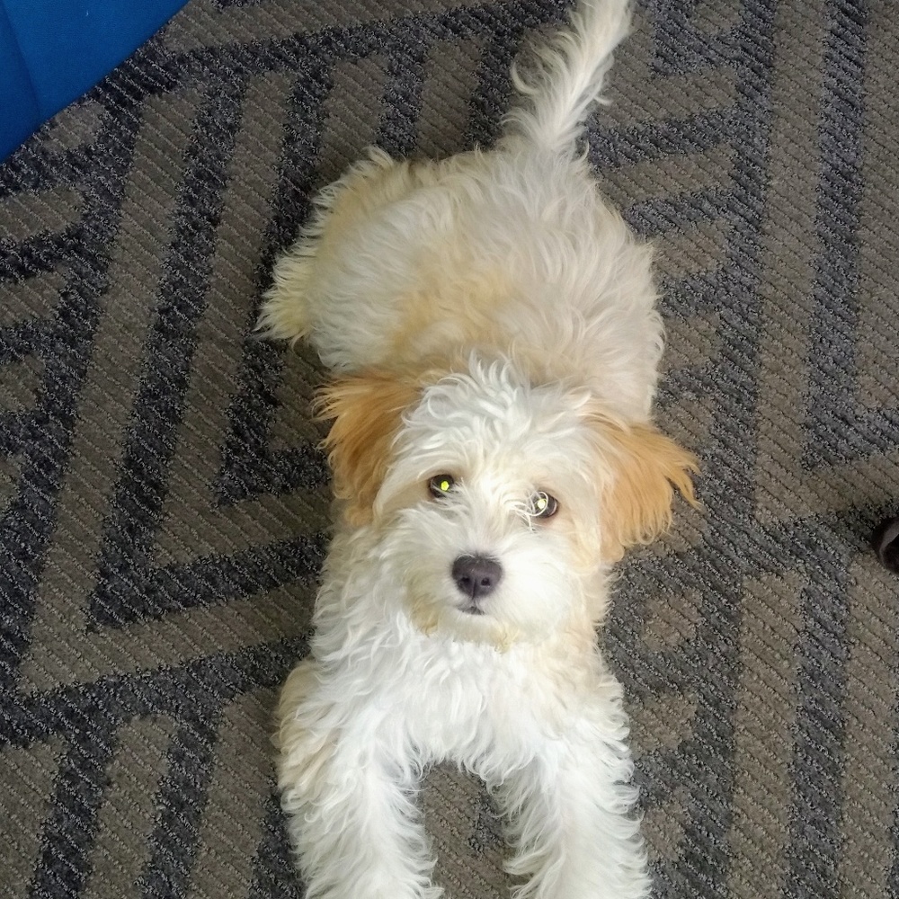 Meet your Posher, Kathy